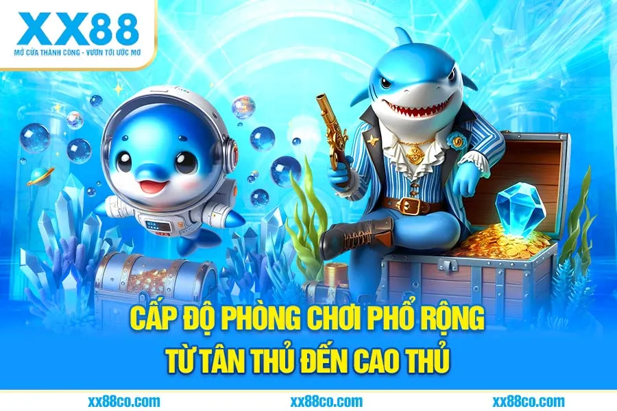 Cấp độ phòng chơi phổ biến từ tân thủ đến cao thủ